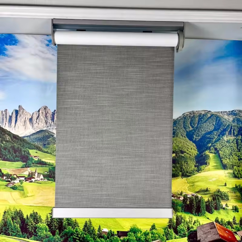 Full window roller blind black out automatic blinds smart shades motorized blinds google alexa app c